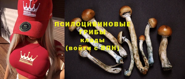 амфетамин Волосово