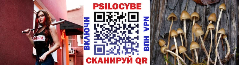 Купить  Полесск  Галлюциногенные грибы мицелий 
